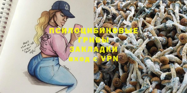 мдпв Майский