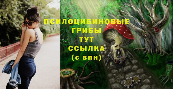 jwh Медвежьегорск