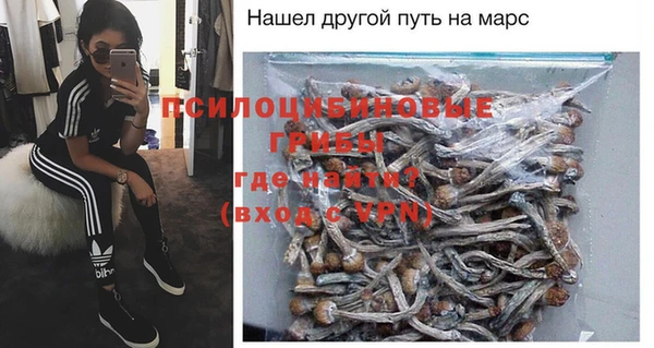 эйфоретик Мегион