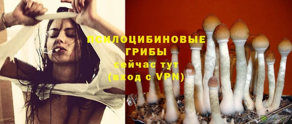 jwh Медвежьегорск
